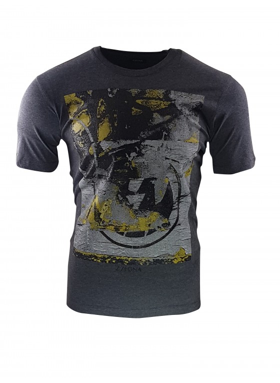 z zegna Dark Grey Graphic Logo T-Shirt vt372zz630c6c1 z zegna Dark Grey Graphic Logo T-Shirt vt372zz630c6c1