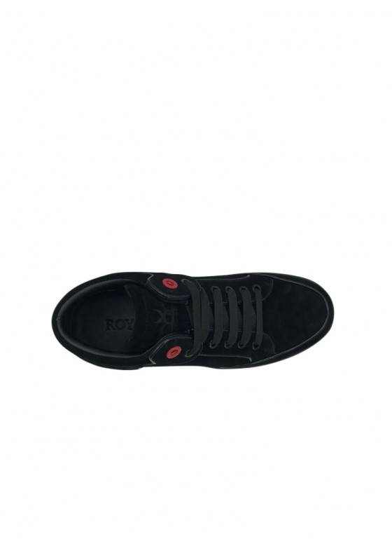 Royaums MARION SPIDER C220