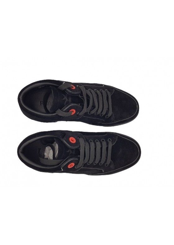 Royaums MARION SPIDER C220